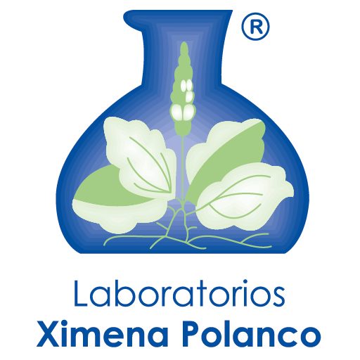 Xpolanco